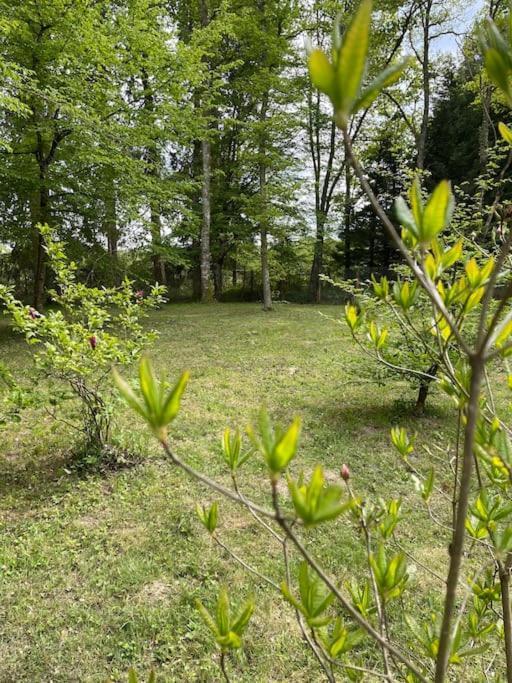 Gite Les Reculons Au Pied Du Lac Les Midoux Luaran gambar